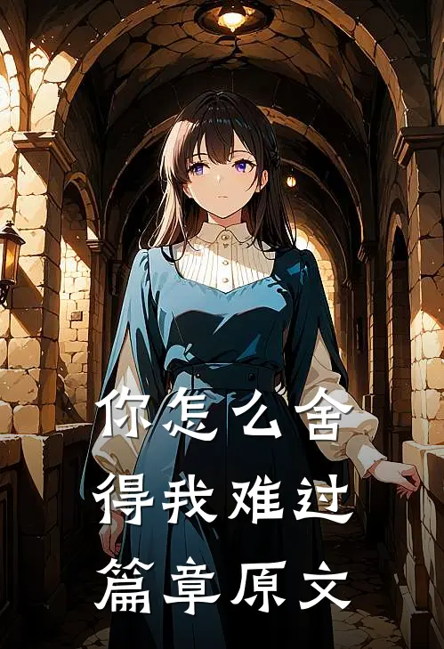 你怎么舍得我难过篇章原文