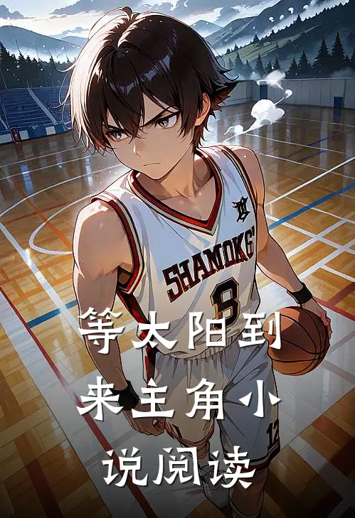 等太阳到来主角小说阅读
