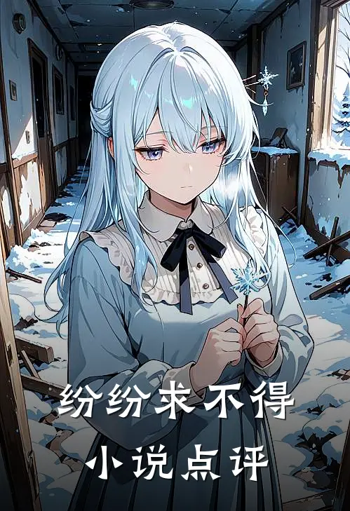 纷纷求不得小说点评