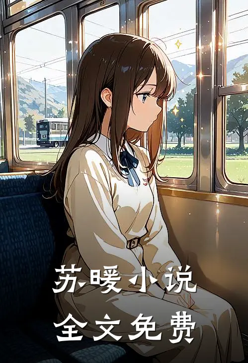 苏暖小说全文免费