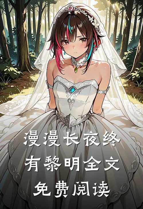 漫漫长夜终有黎明全文免费阅读